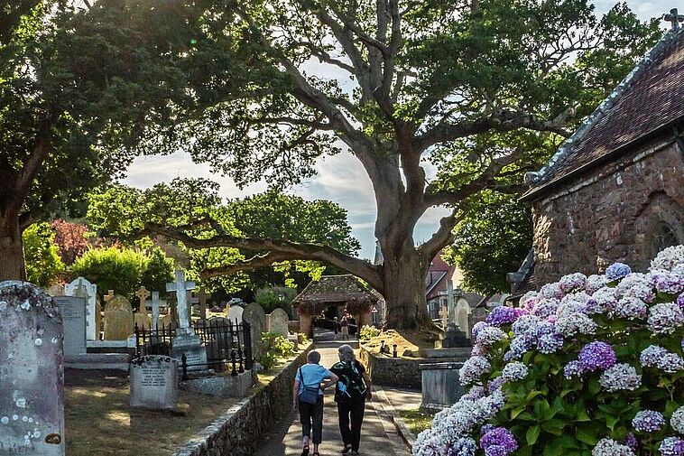 Weg auf einem alten englischen Friedhof mit Rhododendron