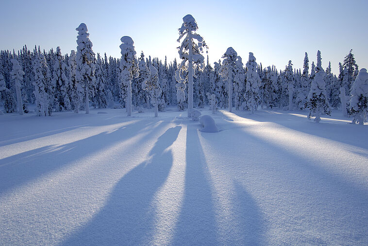 Winterlandschaft