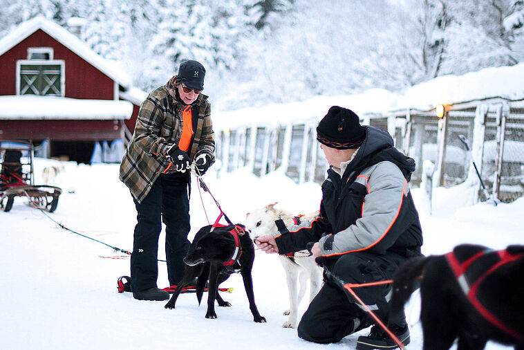 Zwei Männer mit Huskies im Schnee